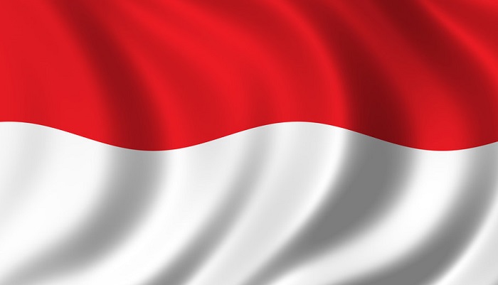 Индонезия: программа по улучшению биобезопасности и борьбой с АЧС