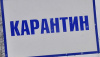 Карантин в Самарской области: борьба с лейкозом крупного рогатого скота