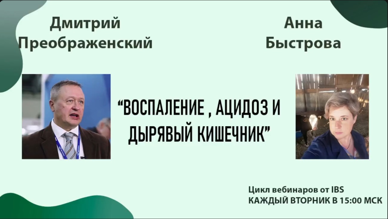 Воспаление, ацидоз и дырявый кишечник