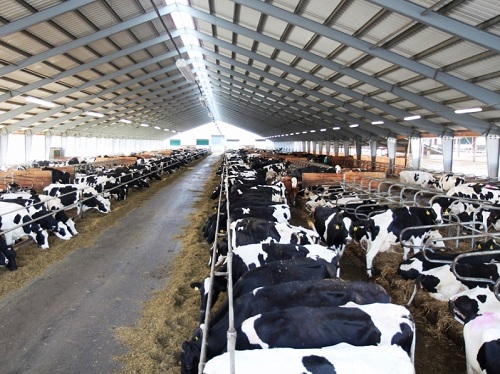 Руководство по надлежащей практике молочного животноводства: социально-экономическое управлени...