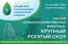 XVIII Балтийский форум ветеринарной медицины и продовольственной безопасности: Встреча специалистов в Санкт-Петербурге