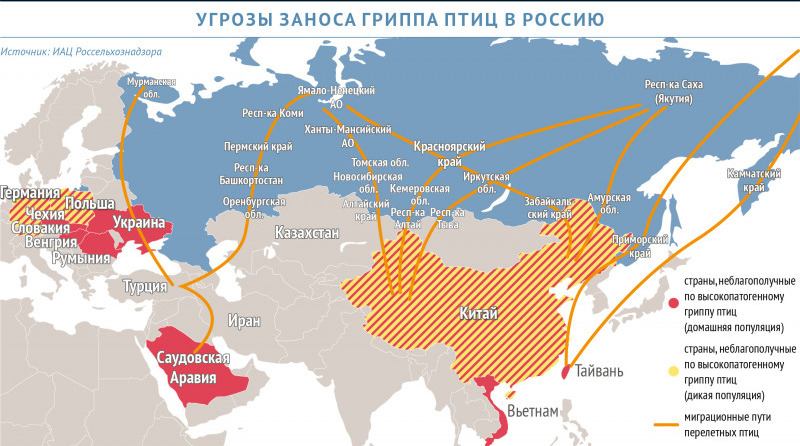 Птичий грипп карта в россии