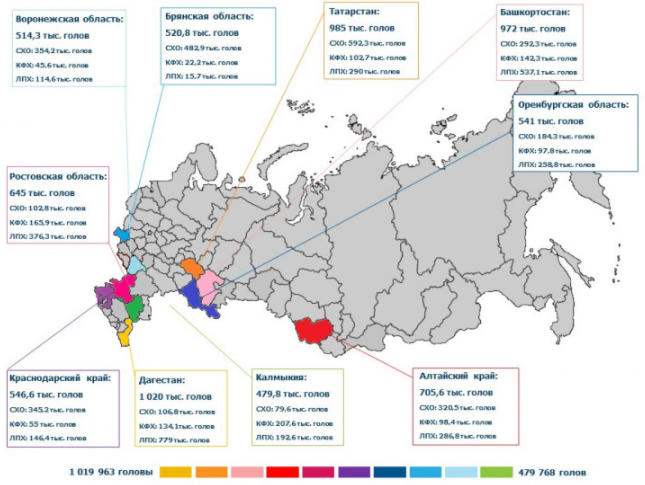 Овцеводство карта россии