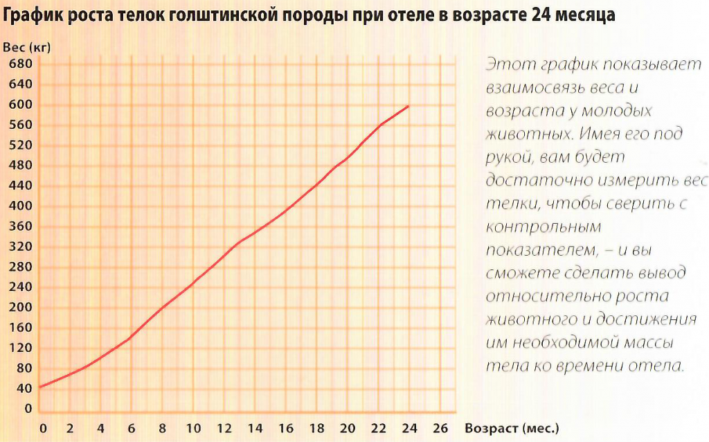 Рост мониторинг