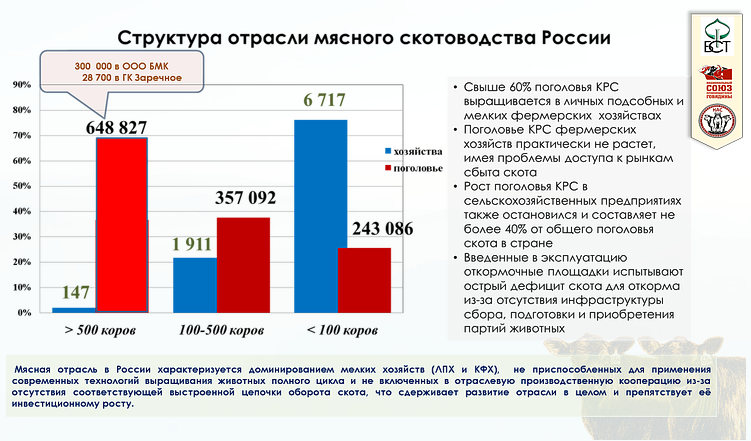 Районы молочно мясного скотоводства. Состояние мясного скотоводства в России. Состояние мясного животноводства в России. Развитие мясного скотоводства. Молочное скотоводство в России.